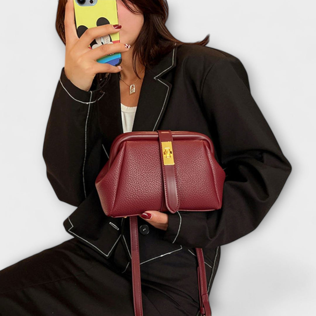 Bolso Retro - Elegante y Versátil