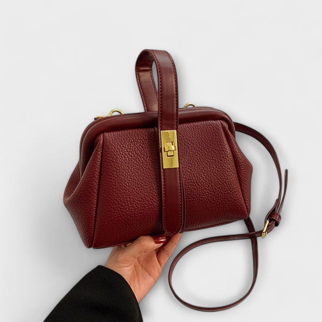 Bolso Retro - Elegante y Versátil
